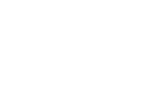 CAR SIZE