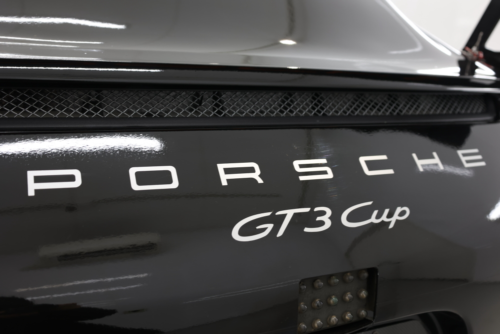 Porsche 991/GT3CUP